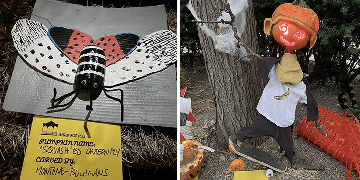 New York Theme: “Squash” ed Lantern Fly. Right: Silliest: Astor Disaster.
